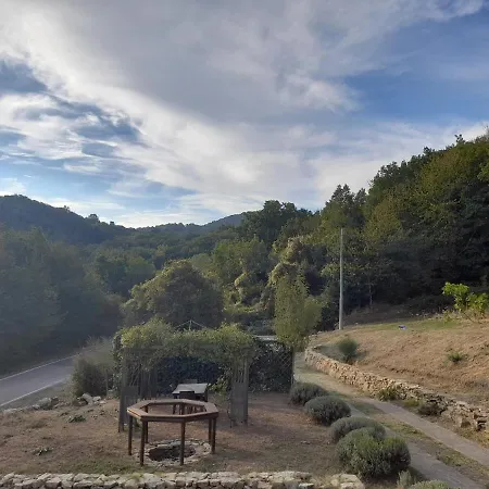 Harem 3* أرشيدوسو