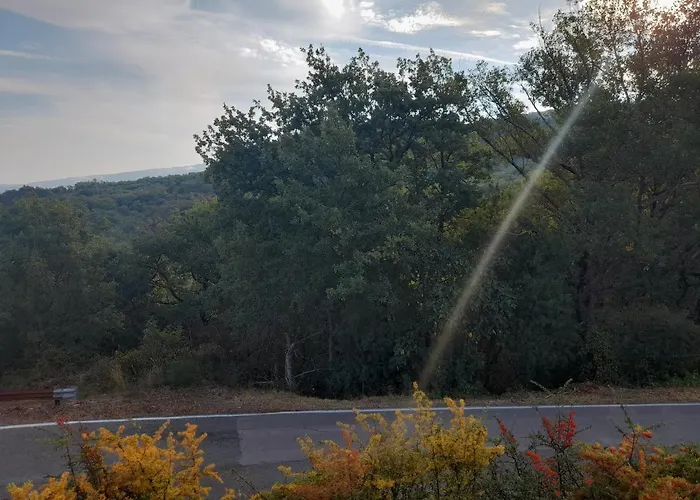 Bed and Breakfast Harem